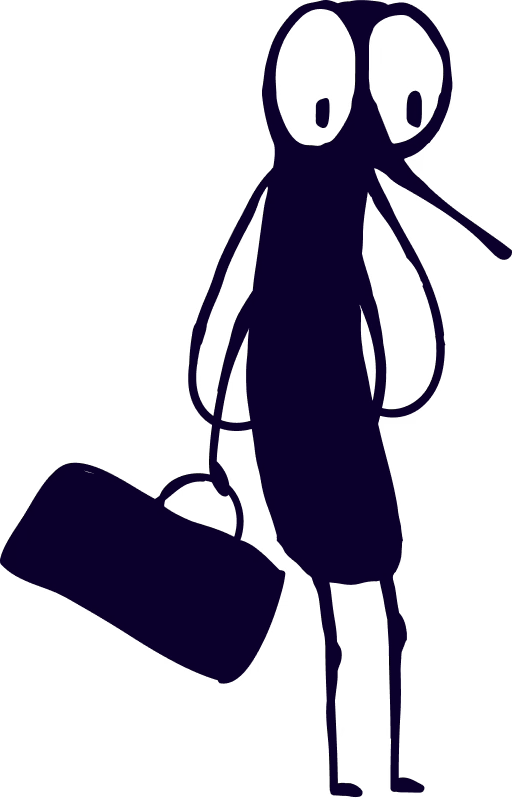 fly graphic
